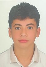 hussein salloum