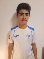 Serge Soghan Yemezian